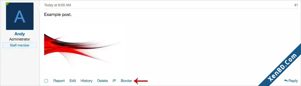 AndyB - Border-1.webp
