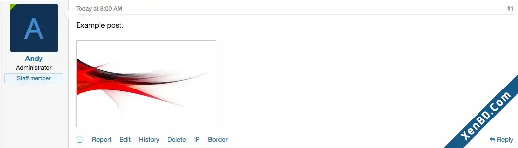 AndyB - Border-3.webp