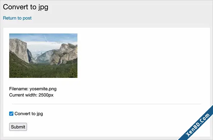 AndyB Convert to JPG-2.webp
