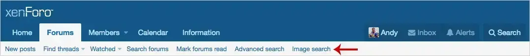 AndyB Image Search-1.webp