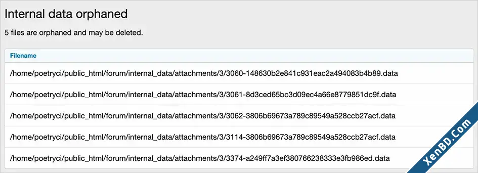 AndyB Internal Data Orphaned-1.webp