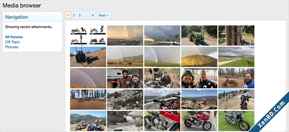 AndyB Media browser-2.webp