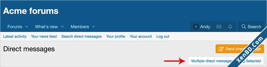 AndyB Multiple direct messages-1.webp