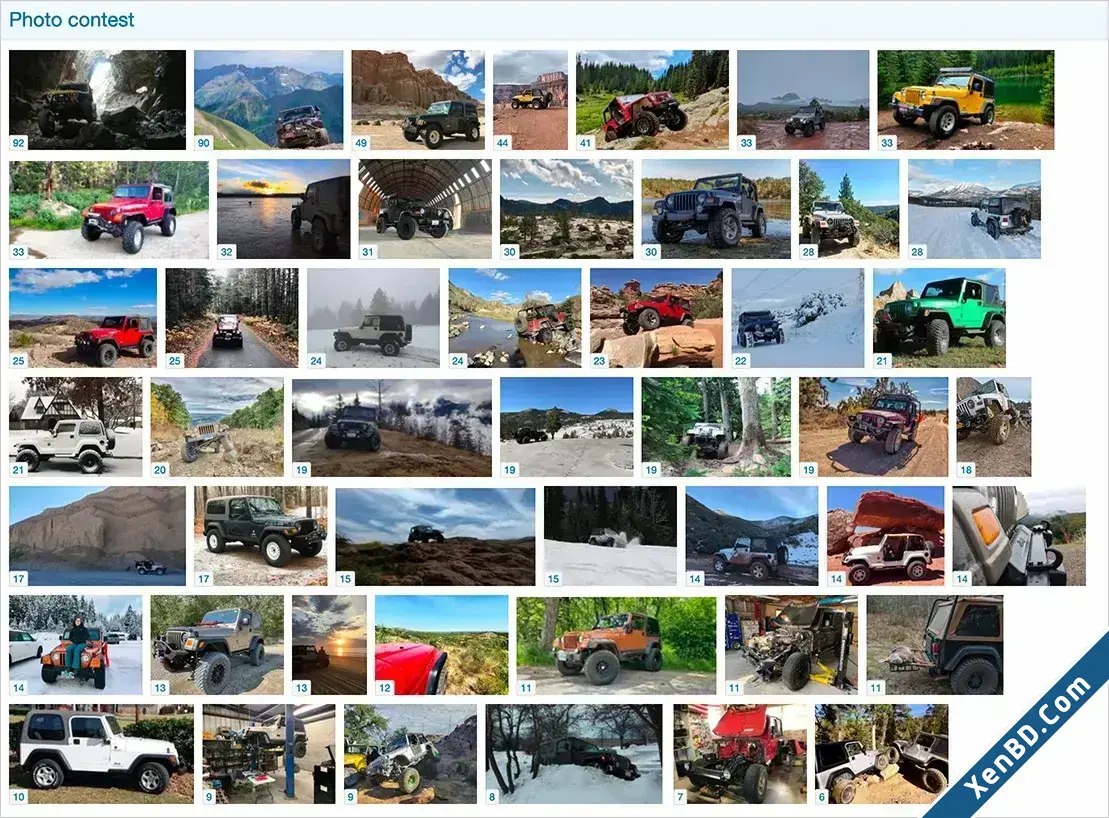 AndyB - Photo Contest-1.webp