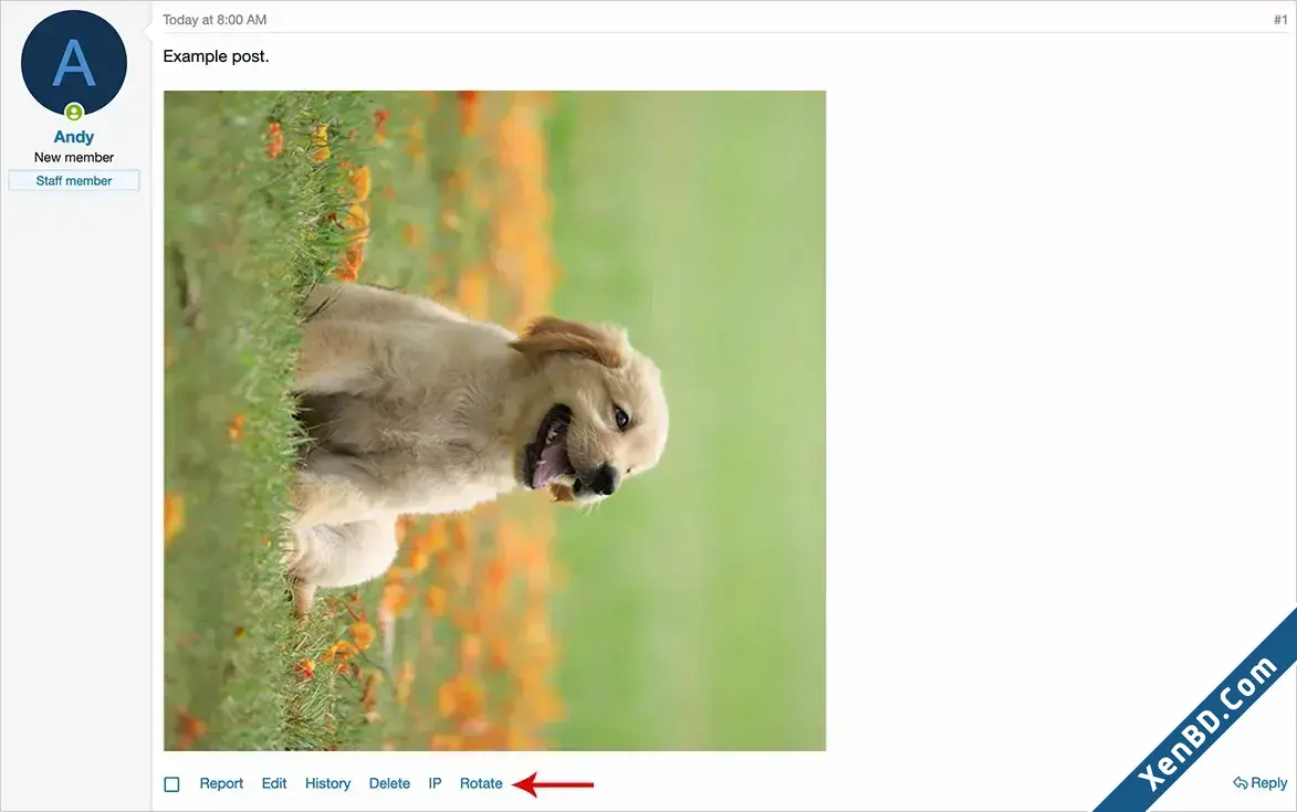 AnfyB Rotate-1.webp