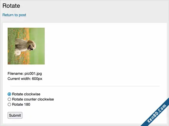 AnfyB Rotate-2.webp