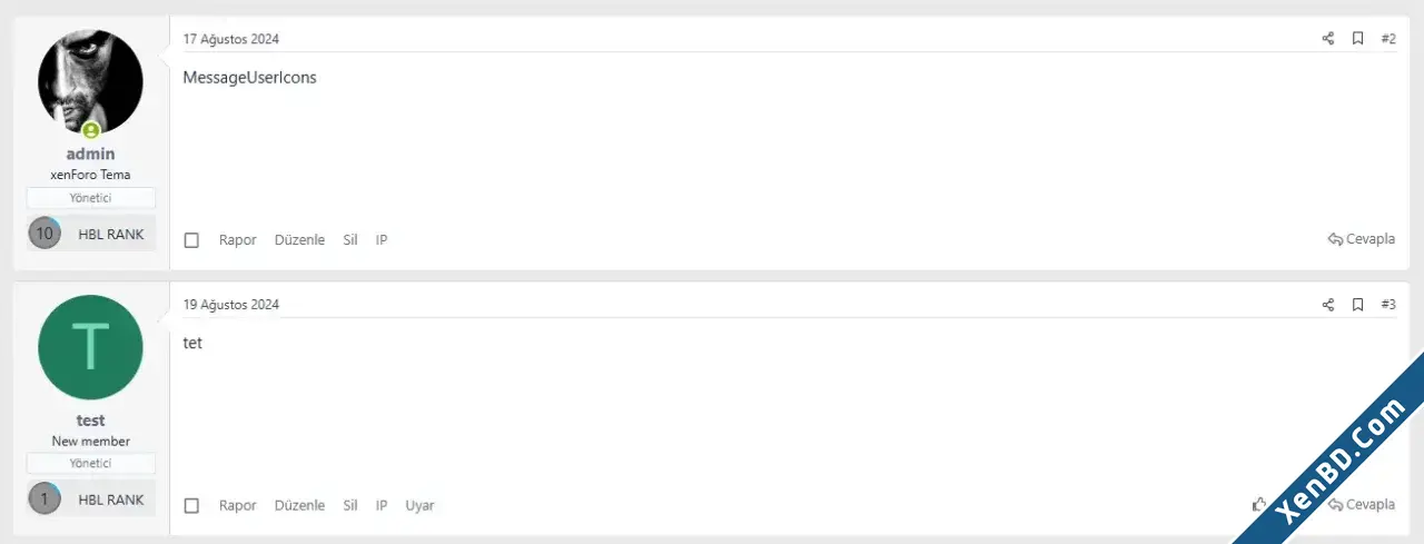 FARKHOSTİNG Rank Based on Number of Posts-2.webp