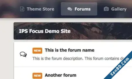 IPSFocus Dimension Pro-4.webp
