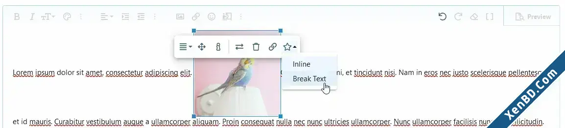 OzzModz - Editor Image Display Mode-2.webp