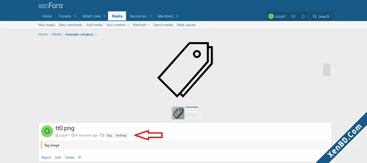 OzzModz XFMG Tag Positions-1.webp