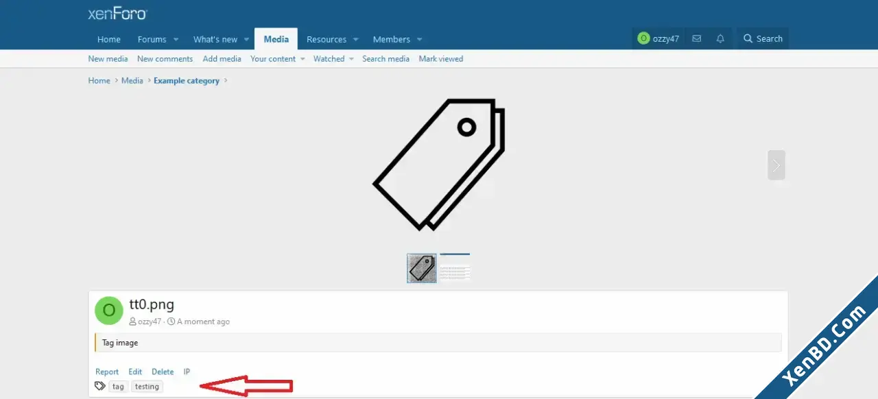 OzzModz XFMG Tag Positions-2.webp