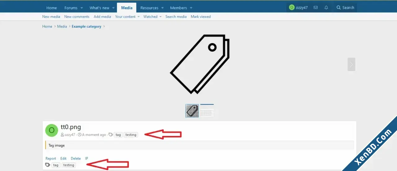 OzzModz XFMG Tag Positions-3.webp
