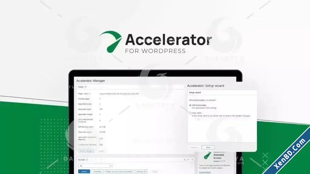 Seraphinite-Accelerator-Extended-Plugin.webp