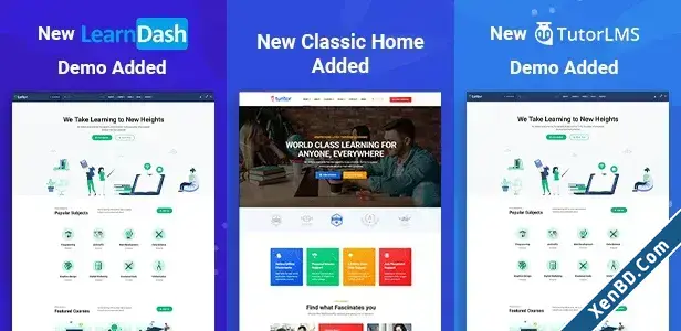Turitor Education WordPress Theme-3.webp
