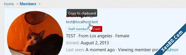 XenBase User Email Display-4.webp