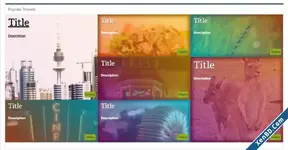 WBB - Popular Thread Widget-2.webp WBB - Popular Thread Widget-2.webp