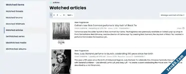 Making a Watched Items Page-1.webp