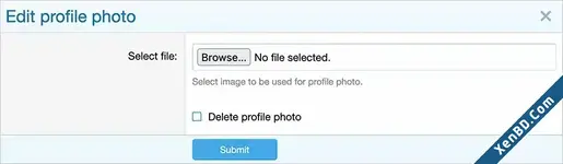 AndyB - Profile Folder-2.webp