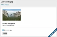 AndyB Convert to JPG-2.webp