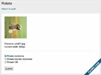 AnfyB Rotate-2.webp