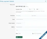 payment details screen.webp