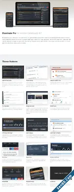 screencapture-ipsfocus-themes-illuminate-pro-2024-03-04-19_43_51.webp