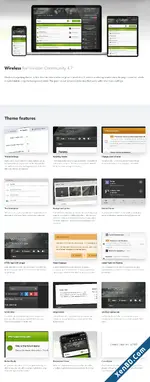 screencapture-ipsfocus-themes-wireless-2024-03-04-20_32_27.webp