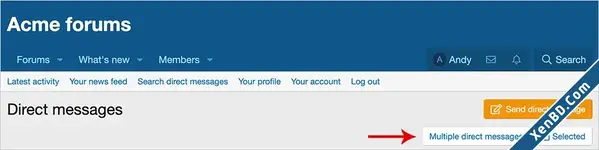 AndyB Multiple direct messages-1.webp