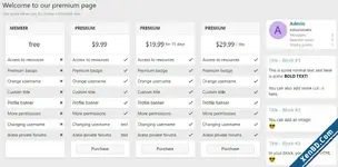 premium_page_style_1.webp