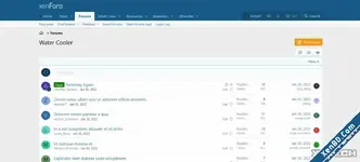 dns3.webp