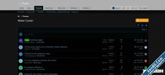 dns4.webp