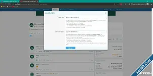xs_seo_xfmg_edit.webp