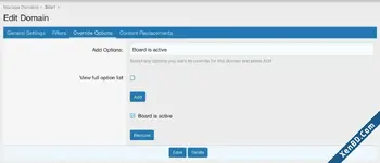 Edit Domain - Override Options.webp