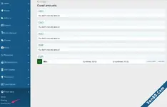 Owed_amount__centralized_mode_.webp