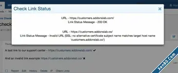 Check Links on front-end.webp