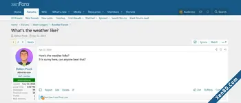 ignore-more-ignore-thread.webp