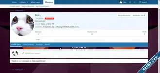 mdv-profile-background.webp