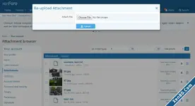 04_reupload_attachment.webp
