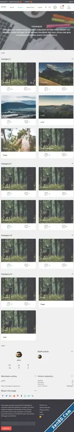 08_tablet_view.webp