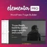 Elementor Pro Website Builder – More Than Just a Page Builder